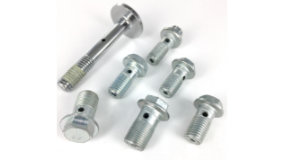 Banjo / Flow Bolts